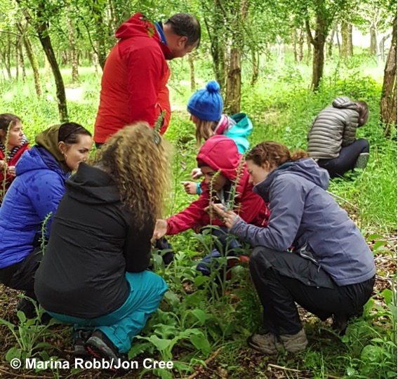 A complete guide to forest school provision and nature pedagogy - Early ...